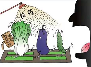 几乎无人提及的农药可怕之处!你真的了解吗!