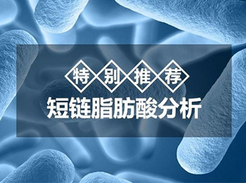 短链脂肪酸(SCFA)检测,短链脂肪酸绝对定性定量分析服务