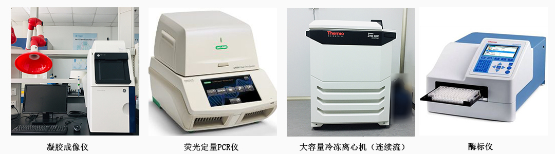 生物分子学