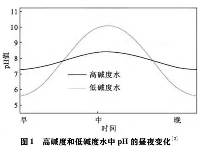 虾苗检测