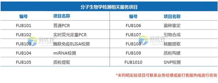 分子生物学检测.jpg