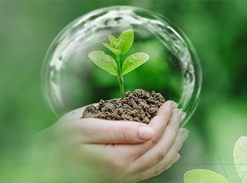 有机碳检测：核心研究方向与可检测样本类型