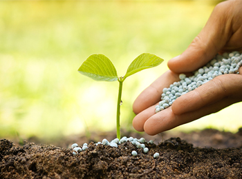 土壤肥力检测核心要点及科研级检测方案解析