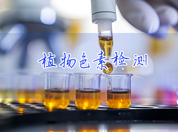 植物色素检测:叶绿素/类胡萝卜素/花青素/黄酮和酚类色素测定