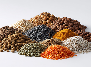 饲料短链脂肪酸检测方法及关联指标推荐