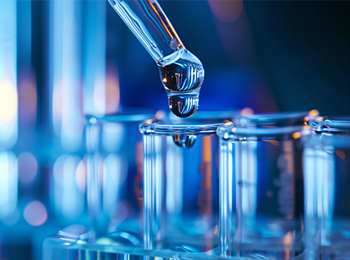 岩藻黄质检测：海带、藻类及提取物精准定量与全项分析