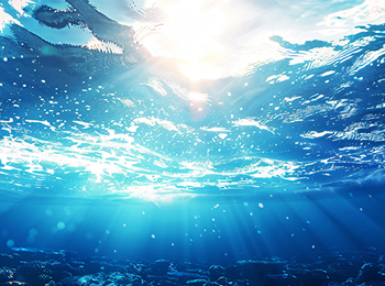 海水营养盐检测：总氮、硝酸盐、亚硝酸盐、铵盐、磷酸盐、总磷测定及推荐指标