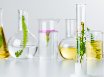 植物脯氨酸、丙二醛 MDA 检测，干旱盐胁迫试验