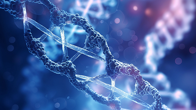 提取DNA/RNA