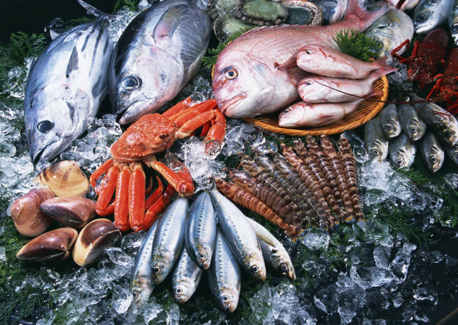 鱼类营养成分检测