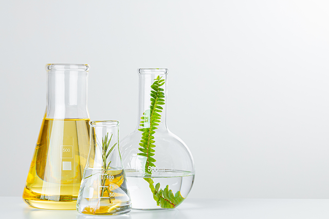 植物黄酮多酚类检测.jpg