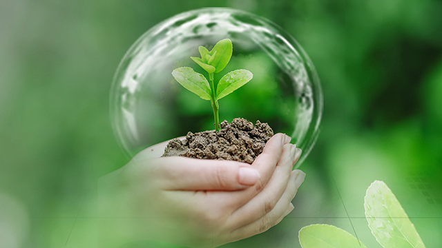 千库网_爱护绿色植物白天环保绿色植物户外绿色环保摄影图配图_摄影图编号238766 内页.jpg