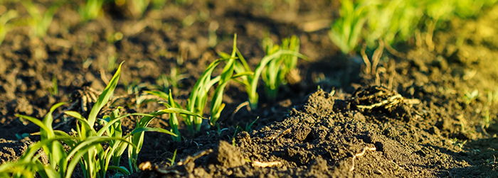 土壤有机碳检测