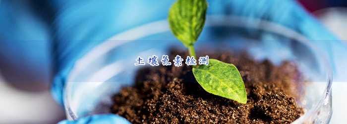 土壤中氮素检测 土壤中氮素检测