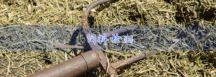 饲料检测 饲料检测