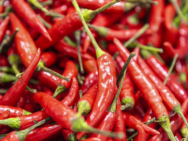 感官分析与品质评估技术服务 感官分析与品质评估技术服务