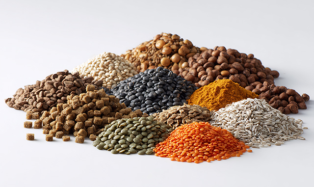 饲料检测 饲料检测