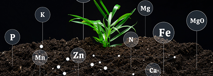 植物氮素检测 植物氮素检测