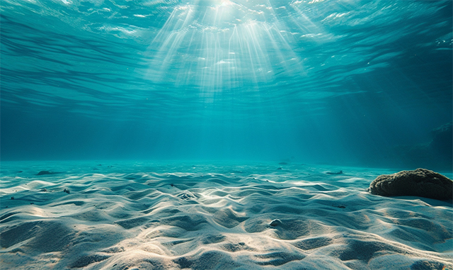 海底沉积物检测