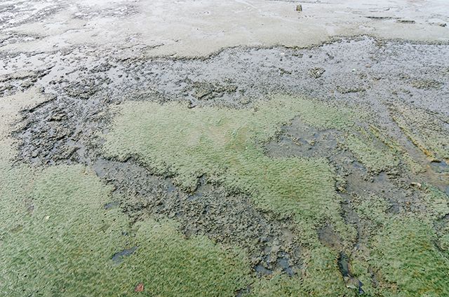 沉积物检测 沉积物检测