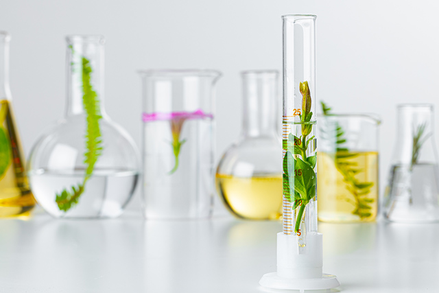 植物脯氨酸检测 植物脯氨酸检测